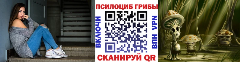 где продают   Магнитогорск  Псилоцибиновые грибы Cubensis 